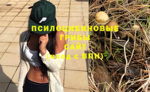 гидропоника Балабаново