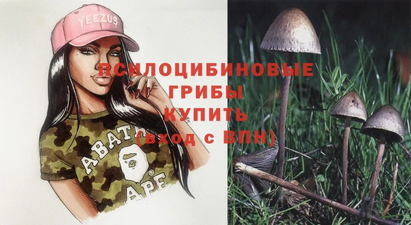 гидропоника Балабаново