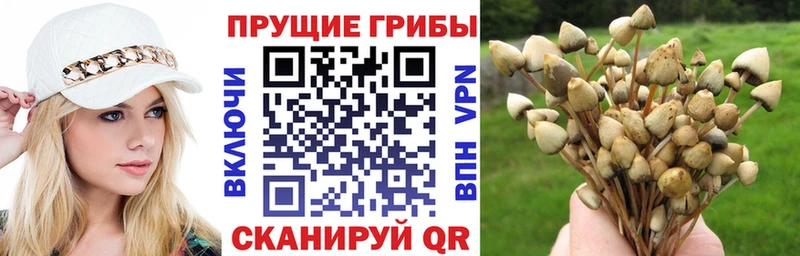 Галлюциногенные грибы прущие грибы  Ленск 