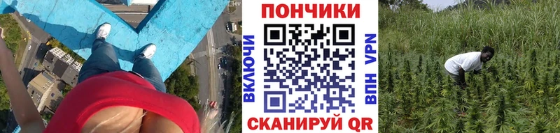 Бошки Шишки OG Kush  где продают наркотики  Ленск 